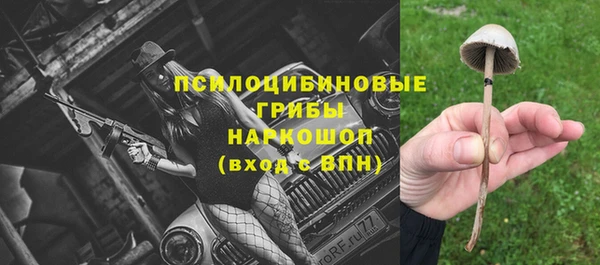 первитин Лиски