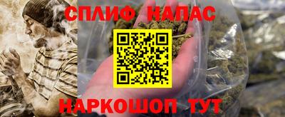 скорость Гусев