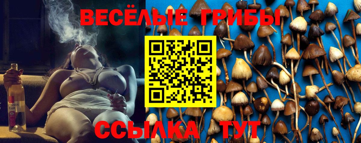 Псилоцибиновые грибы Cubensis Мелеуз